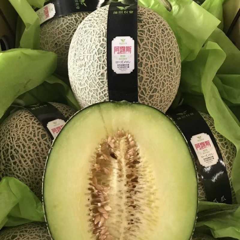 阿露斯阳光蜜瓜