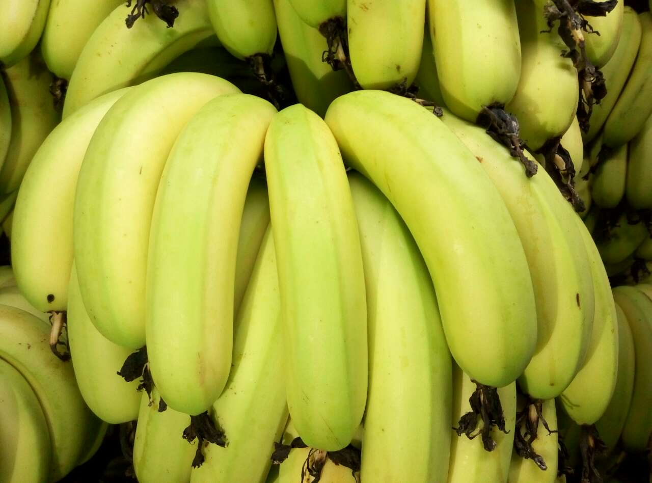 国产尾期50斤湛江香蕉50斤全熟三级16元斤