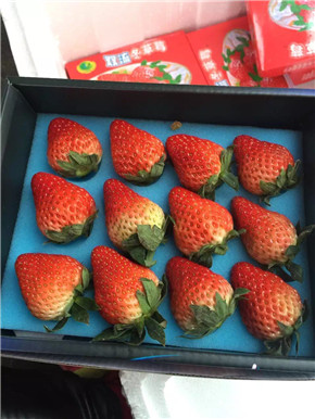 国产 【真田】奶油草莓(黑盒) 18头,净果约1.8斤