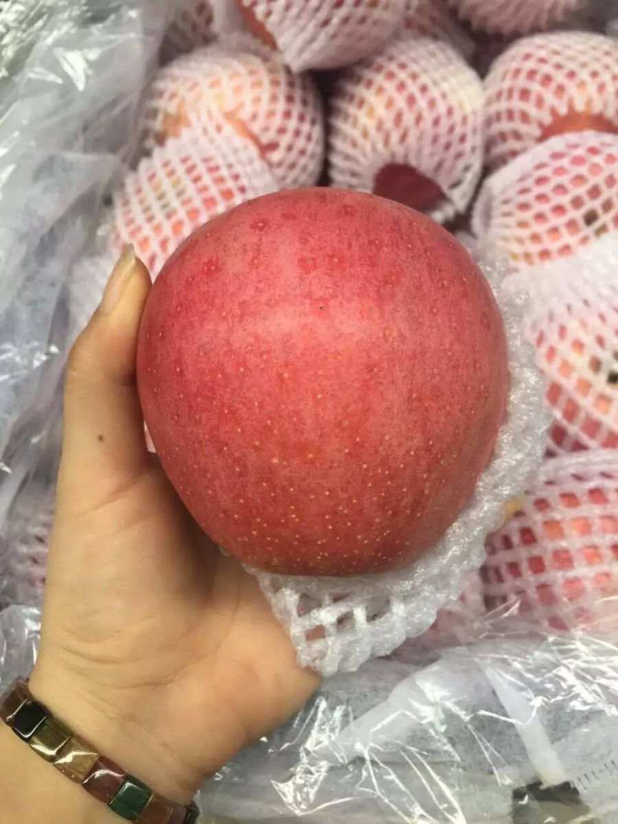 国产秦冠苹果8590