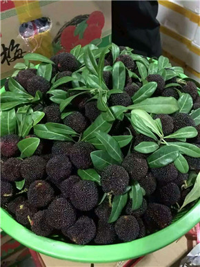 水分足,口感甜,杨梅味足,推荐试做国产硬丝杨梅 净果约15斤