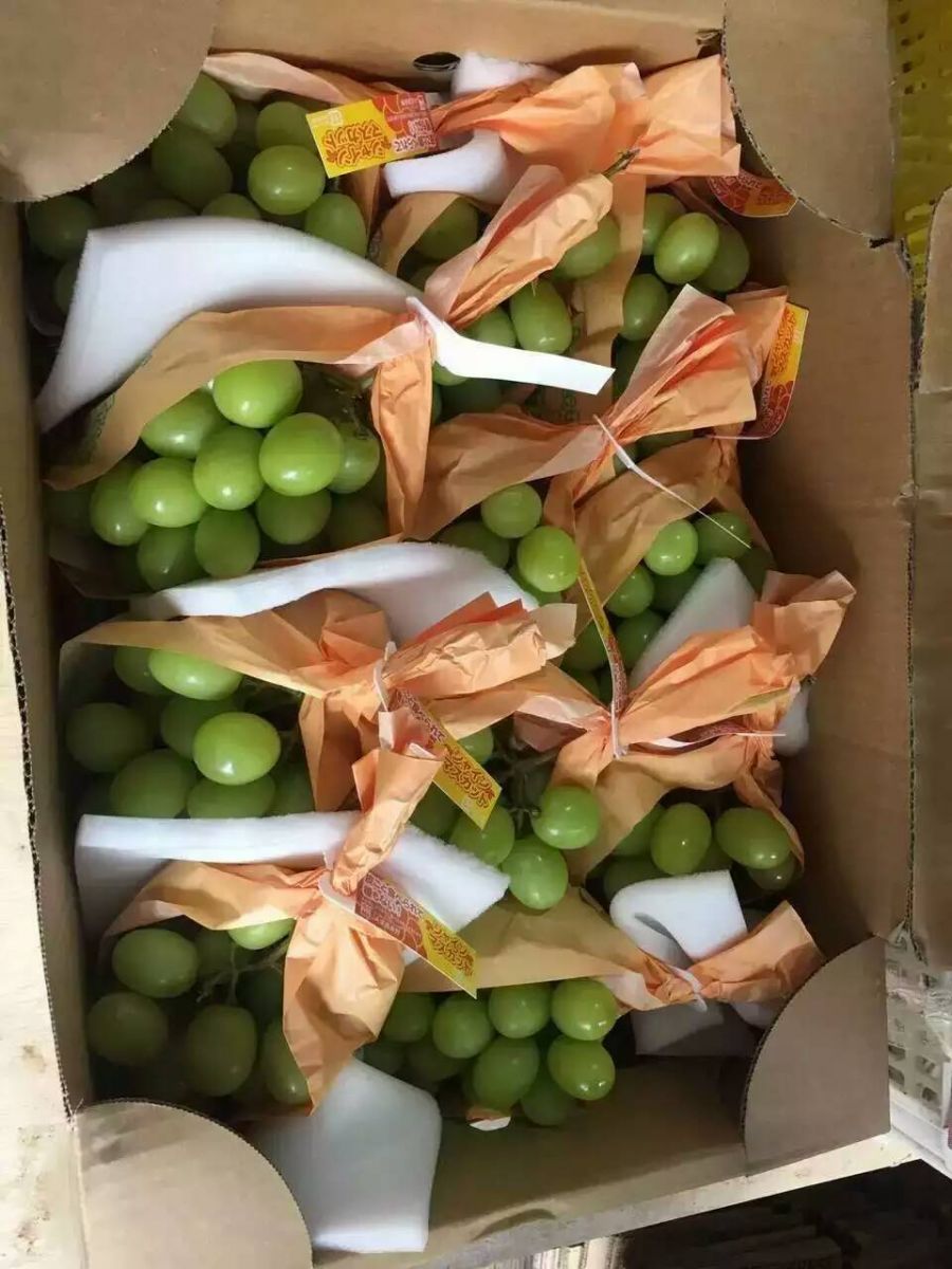 【产品实拍】宝贝详情香印提子/日本参数保障服务说明进口香印提子