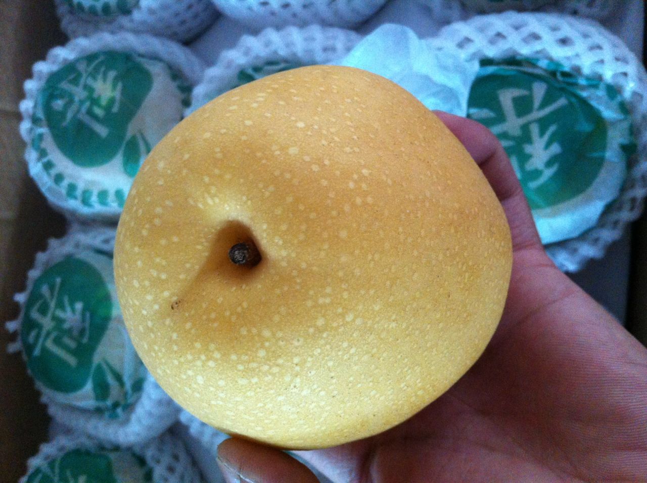 点击查看图文详情 品种: 新高梨 产地: 山东 重量: 毛重约19斤 规格