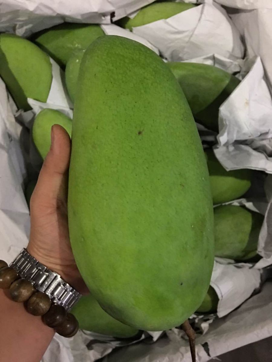 【果然优】全球直采,直送到店,水果全产业链b2b电商平台