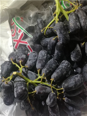 点击查看图文详情 品种: 手指提 产地: 南非 特征: 脆甜细腻 紧实 装