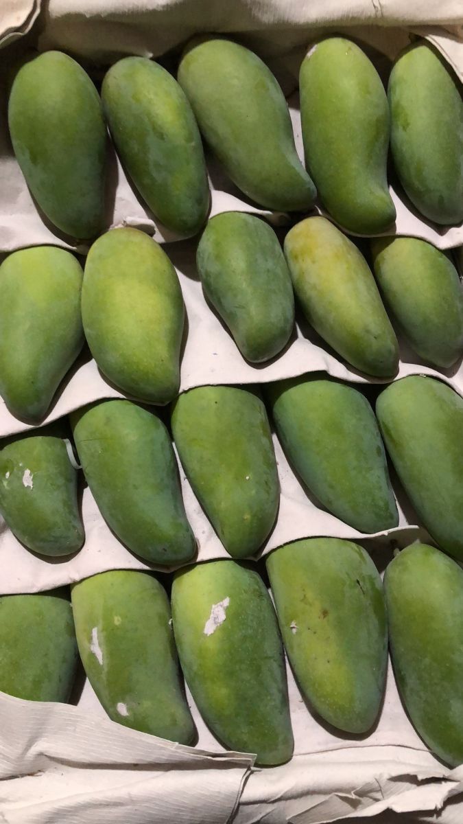 【产品实拍】宝贝详情象牙芒参数保障服务说明新到货, 产地海南,口感