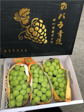 果然优商城:精品香印青提批发_精品香印青提供应