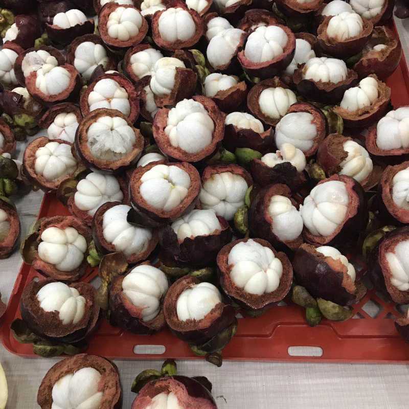 点击查看图文详情 品种: 印尼油竹 产地: 印尼 行情