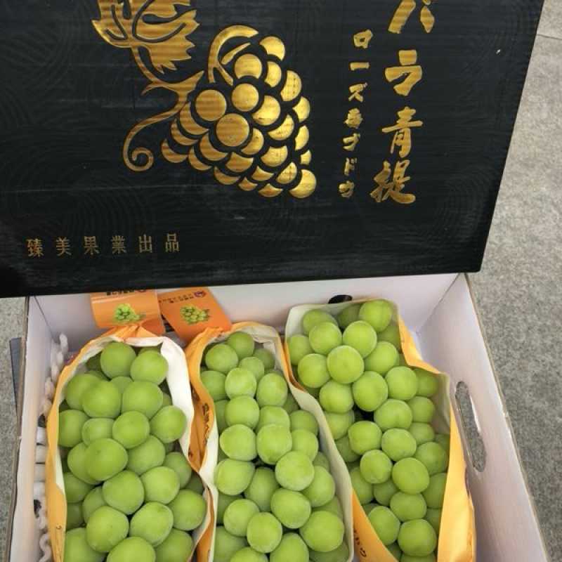 果然优商城:精品香印青提批发_精品香印青提供应