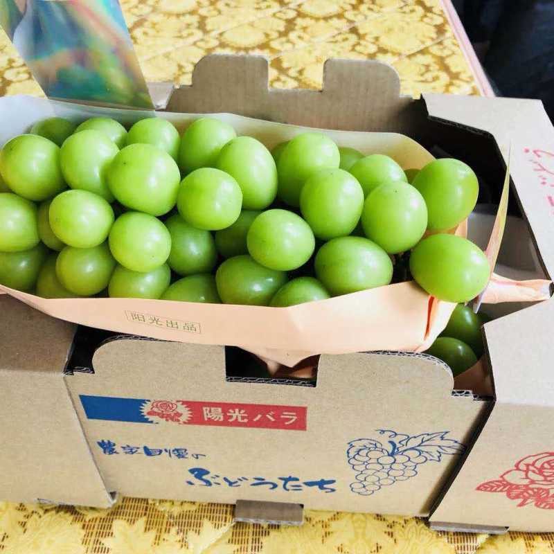 果然优商城:阳光香印青提批发_阳光香印青提供应