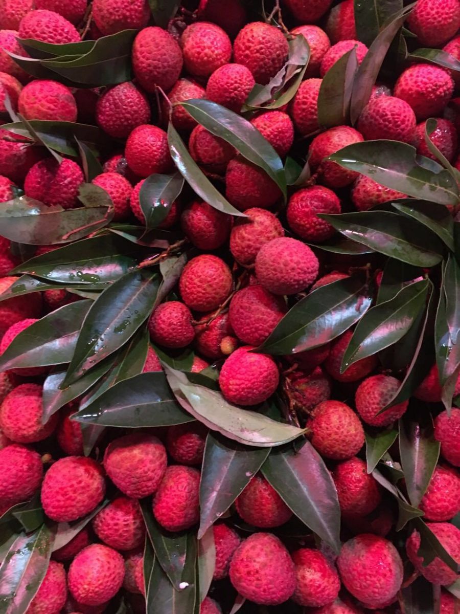 果然优商城:白腊荔枝大箱批发_白腊荔枝大箱供应_【报价_行情_评价_图