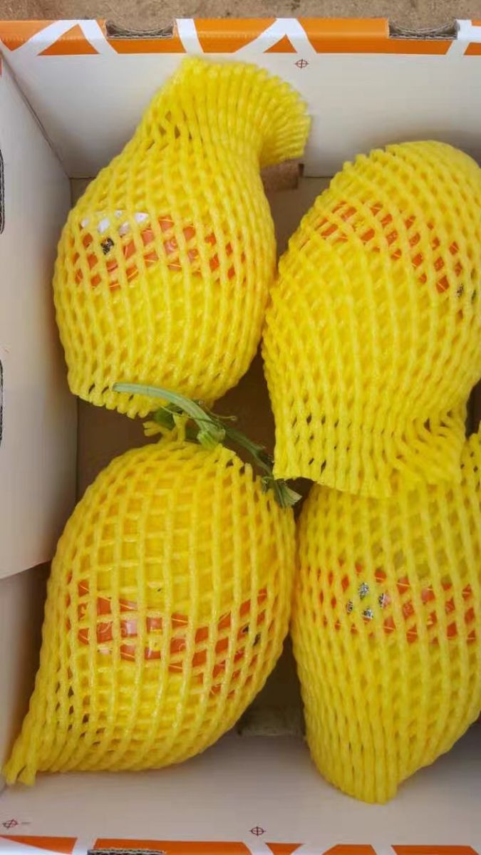 金宏黄冠蜜瓜(长沙出)