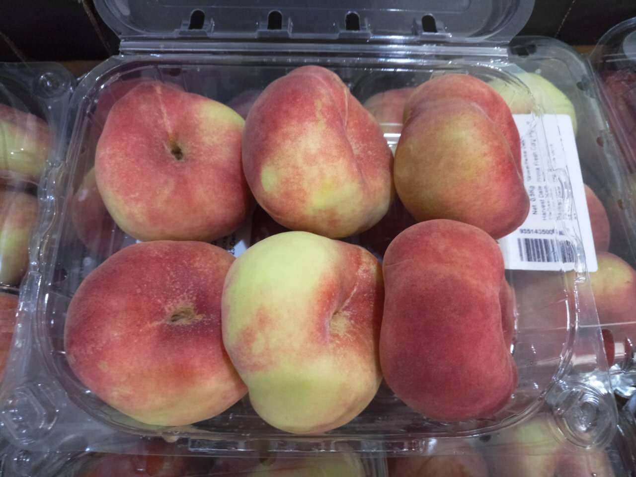 澳洲蟠桃(盒装)