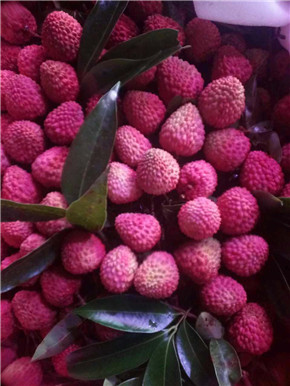 桂糯香荔枝(大箱)