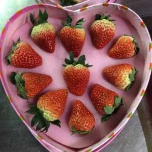 心形草莓